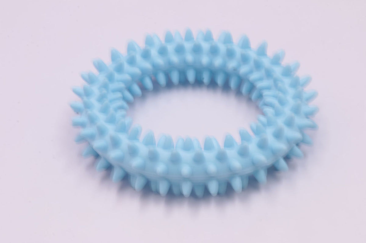 Dog Chew Toy Tpr Spiky Circle Ring