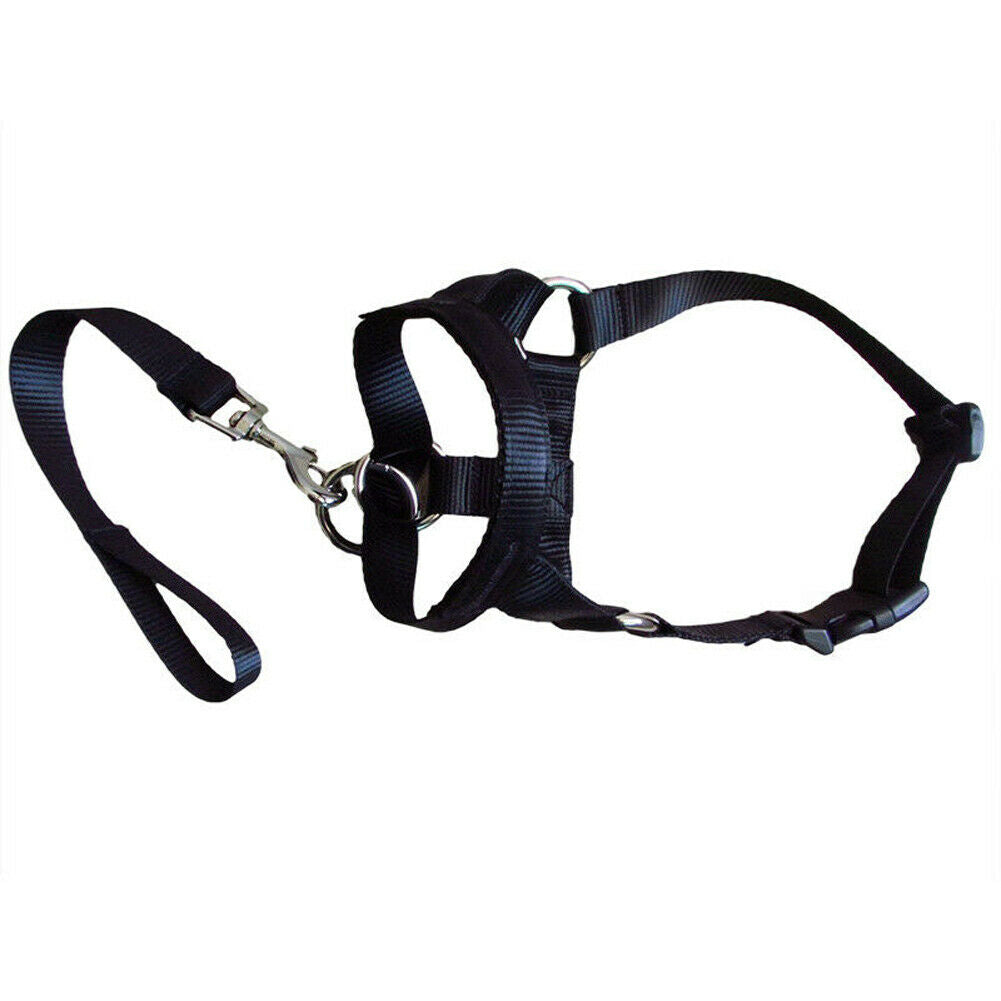 Dog Rectification Rushing Leash Cover