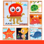Wooden Picture Cube Puzzle