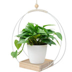 Hanging Flower Pot Plant Bracket Air Green