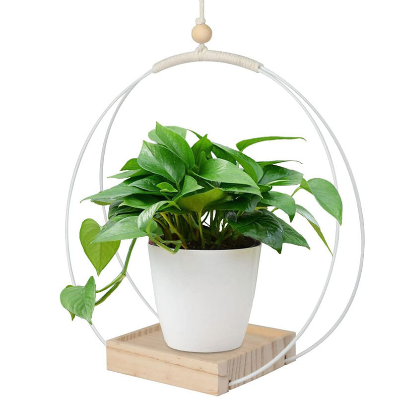 Hanging Flower Pot Plant Bracket Air Green