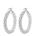 Irregular Geometric Hoop Earrings