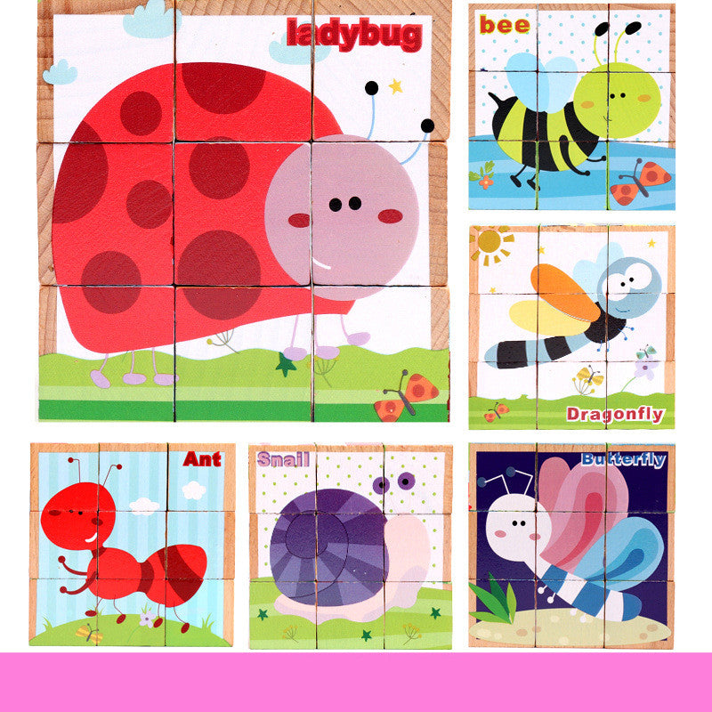 Wooden Picture Cube Puzzle