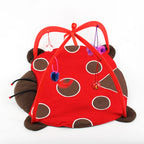 Cat Play Bed