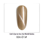 AS Cat Eye Gel Polish – 30 Shades