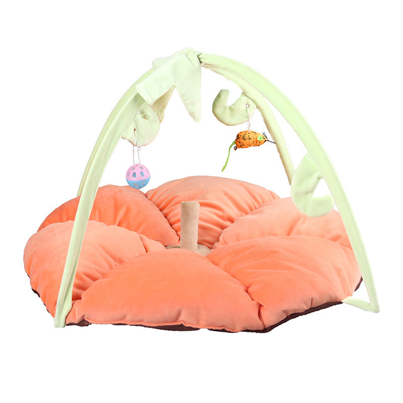 Cat Play Bed