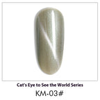AS Cat Eye Gel Polish – 30 Shades