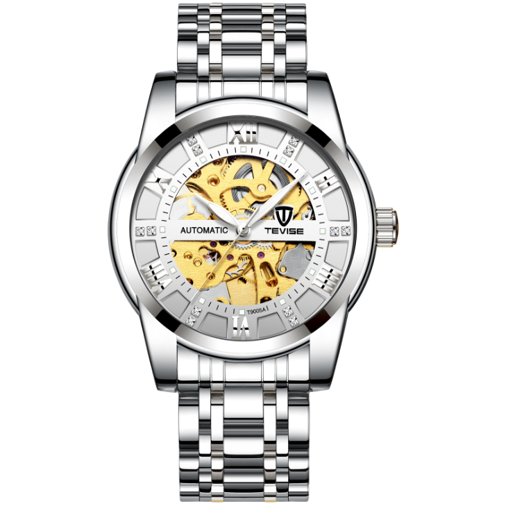 Men's Automatic Skeleton Watch