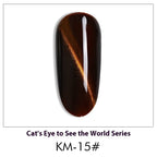 AS Cat Eye Gel Polish – 30 Shades