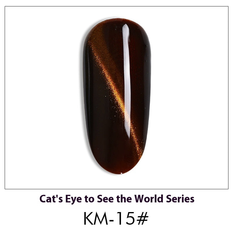 AS Cat Eye Gel Polish – 30 Shades
