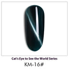 AS Cat Eye Gel Polish – 30 Shades