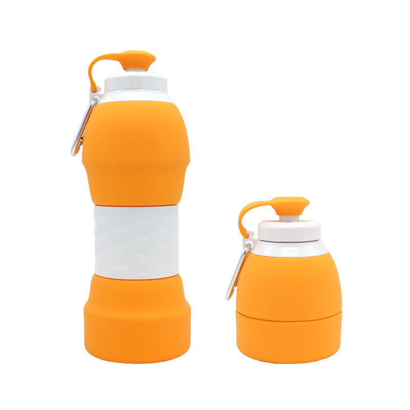 Collapsible Silicone Water Bottle