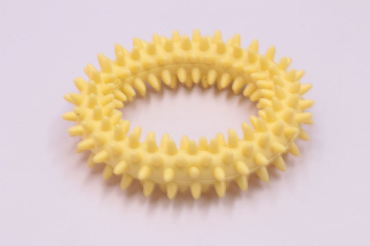Dog Chew Toy Tpr Spiky Circle Ring