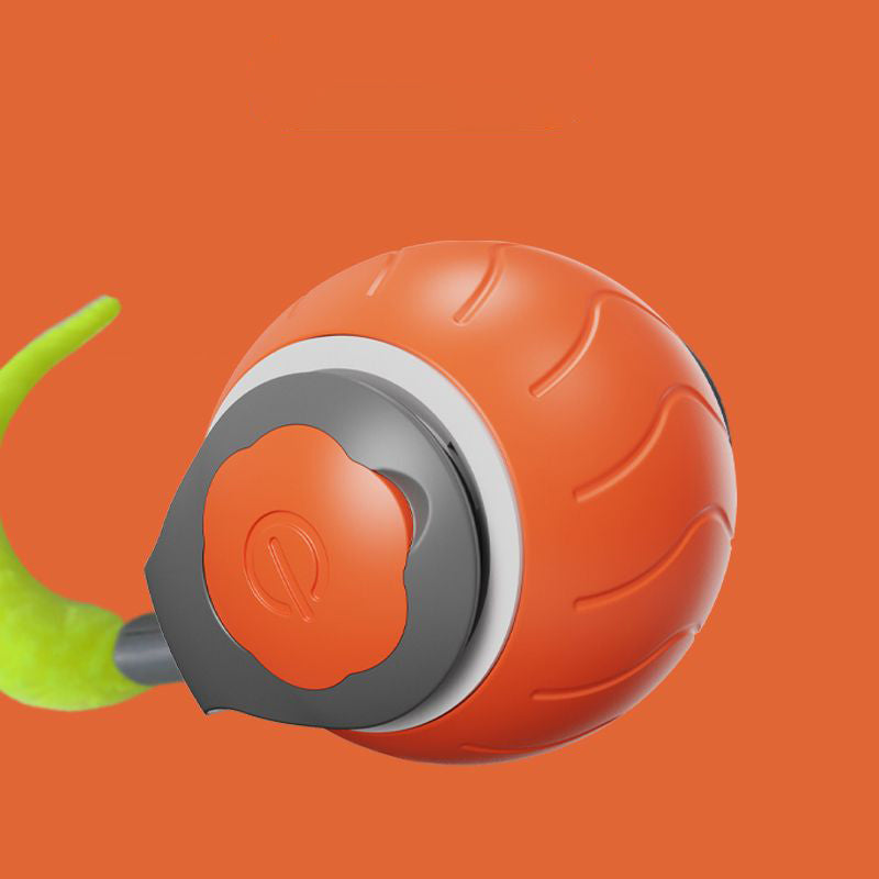 Rolling Cat Ball Toy