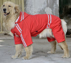 Large Medium Dog Raincoat