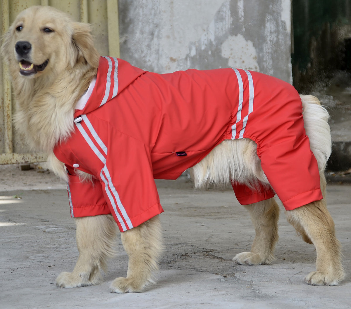 Large Medium Dog Raincoat