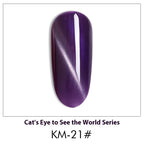 AS Cat Eye Gel Polish – 30 Shades