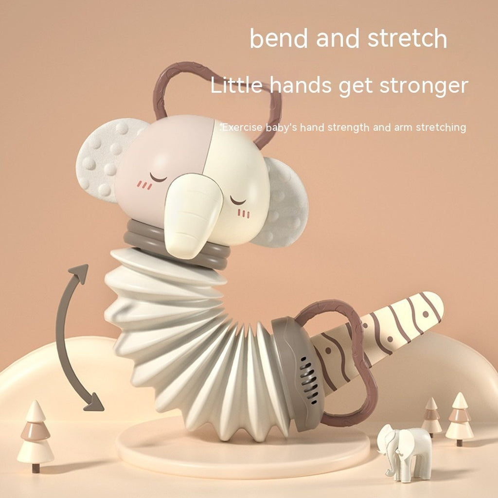 Accordion Animal Pull Toy
