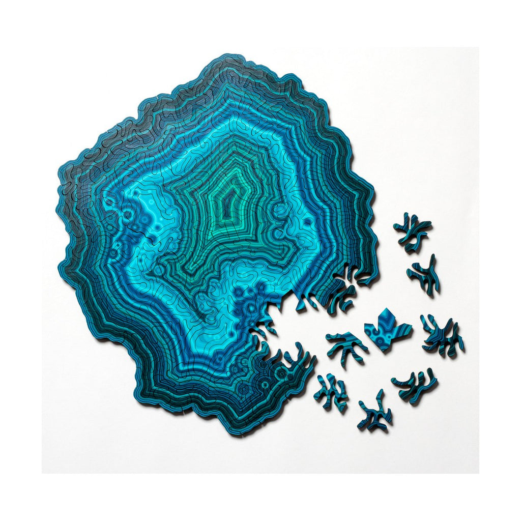 Agate Shape Puzzle