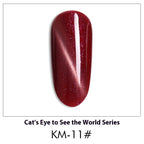 AS Cat Eye Gel Polish – 30 Shades