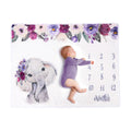 Baby Milestone Blanket