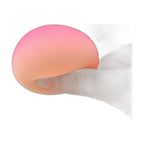 Beauty Sponge