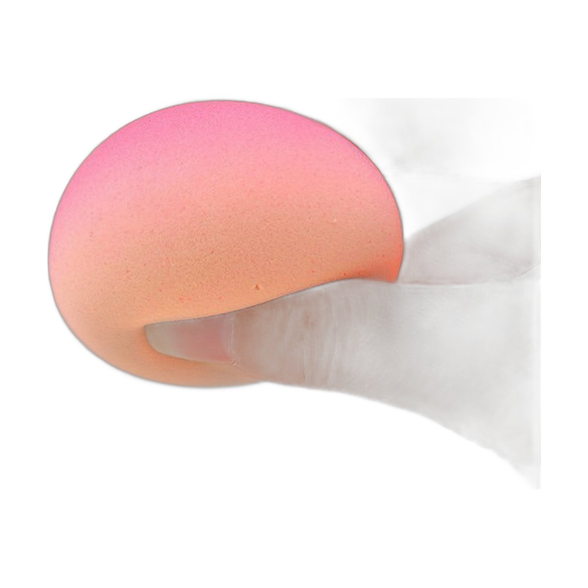 Beauty Sponge