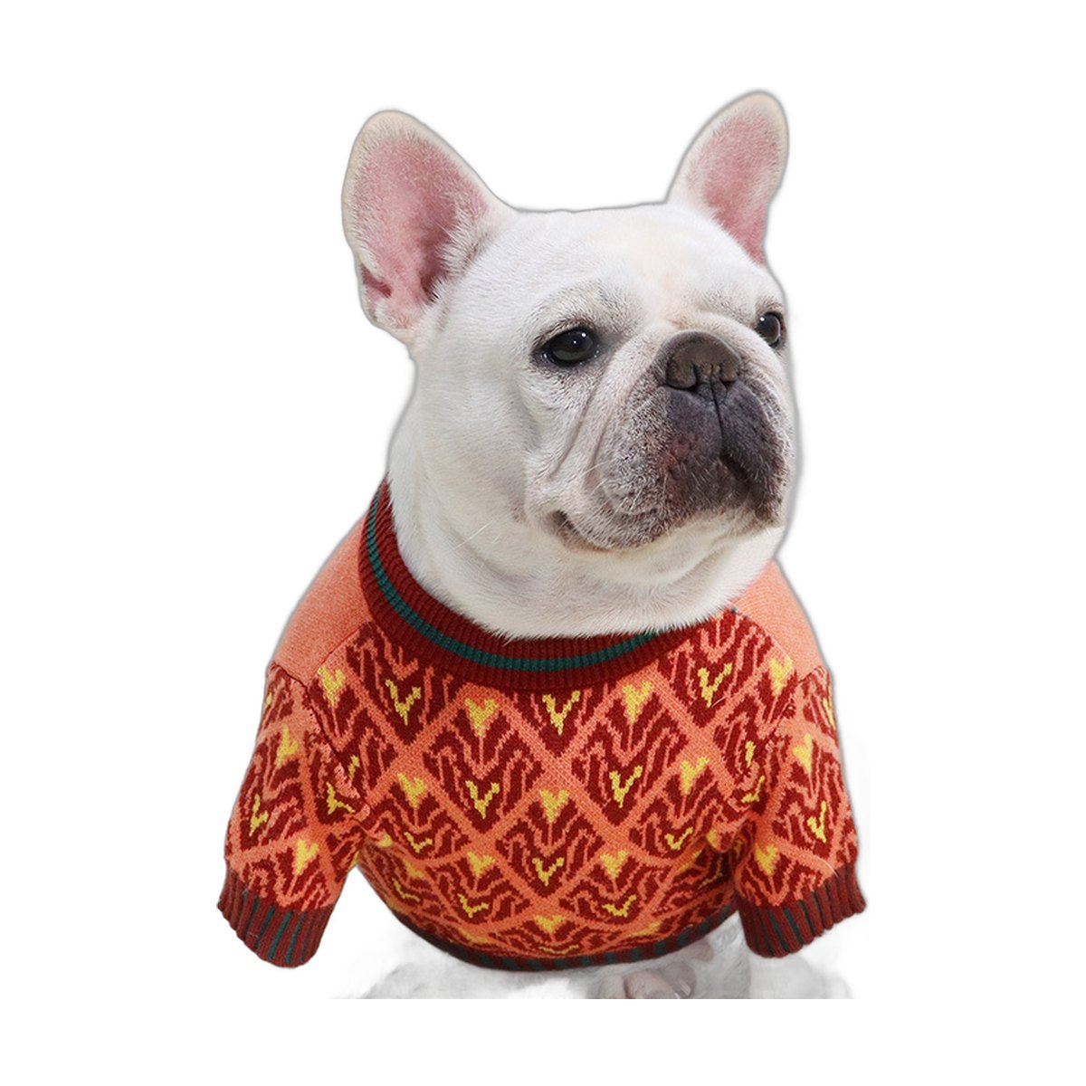 Bulldog Knit Sweater