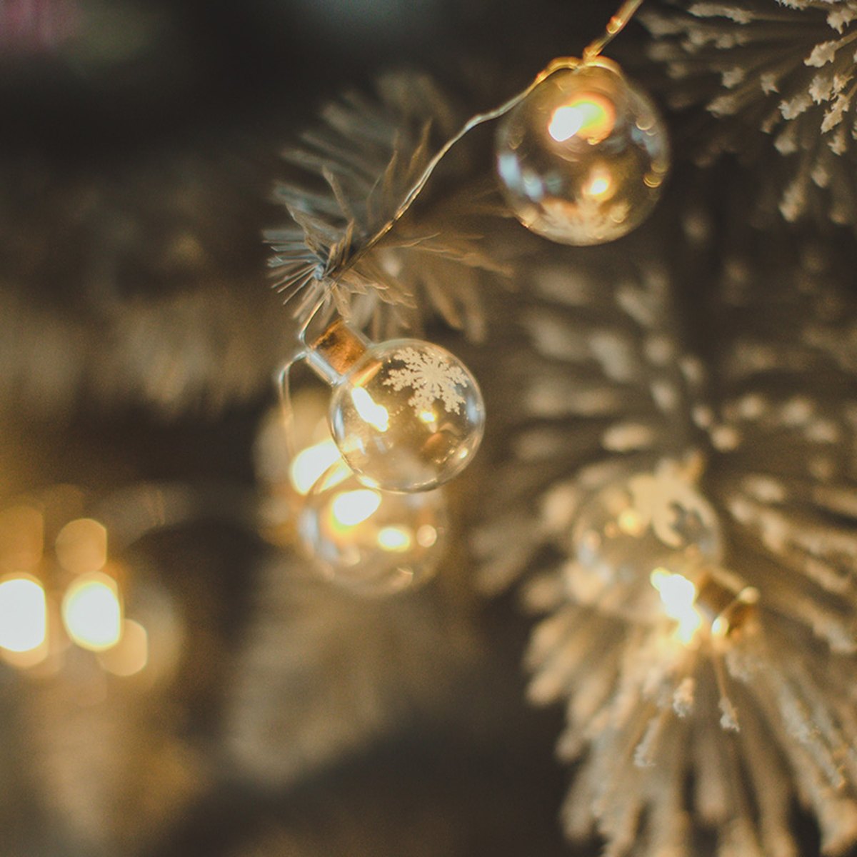 Copper Wire LED Christmas Light