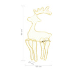 Light-Up Reindeer with 306 LEDs