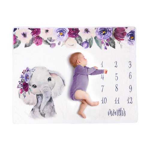 Baby Milestone Blanket
