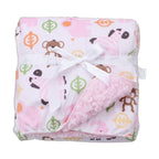Coral Fleece Baby Blanket