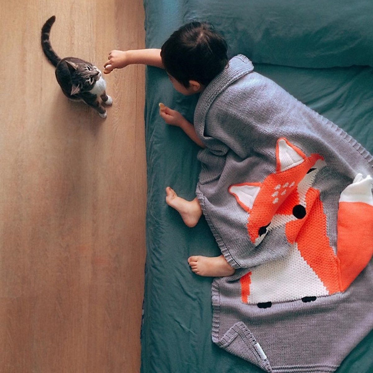 Knitted Fox Baby Blanket
