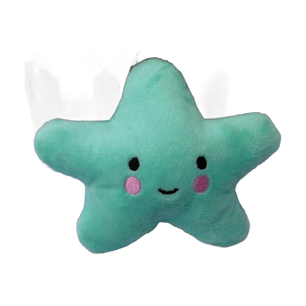 Plush Star Squeaky Toy