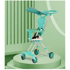 Reversible Lightweight Stroller