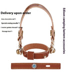 Camping Lantern Leather Strap Set