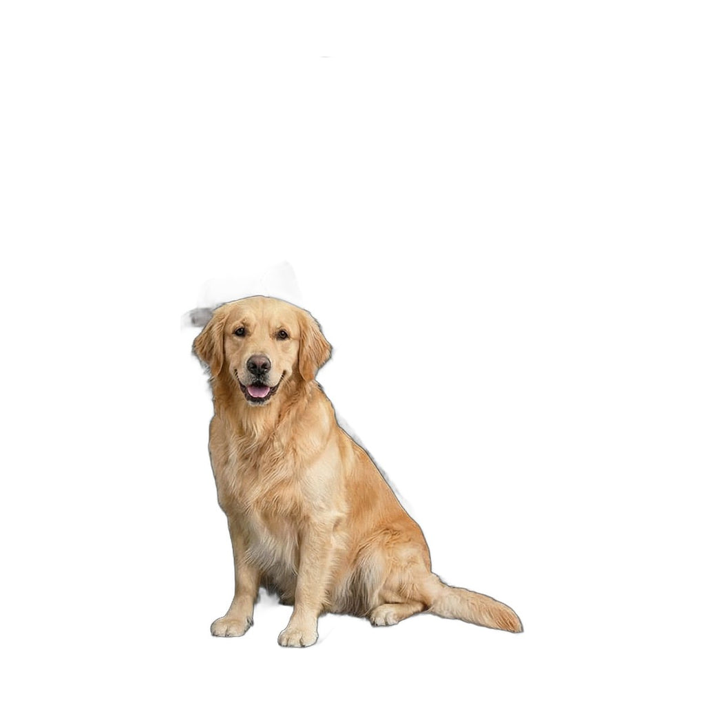 Car Trunk Protector for Dogs 180 × 103 cm