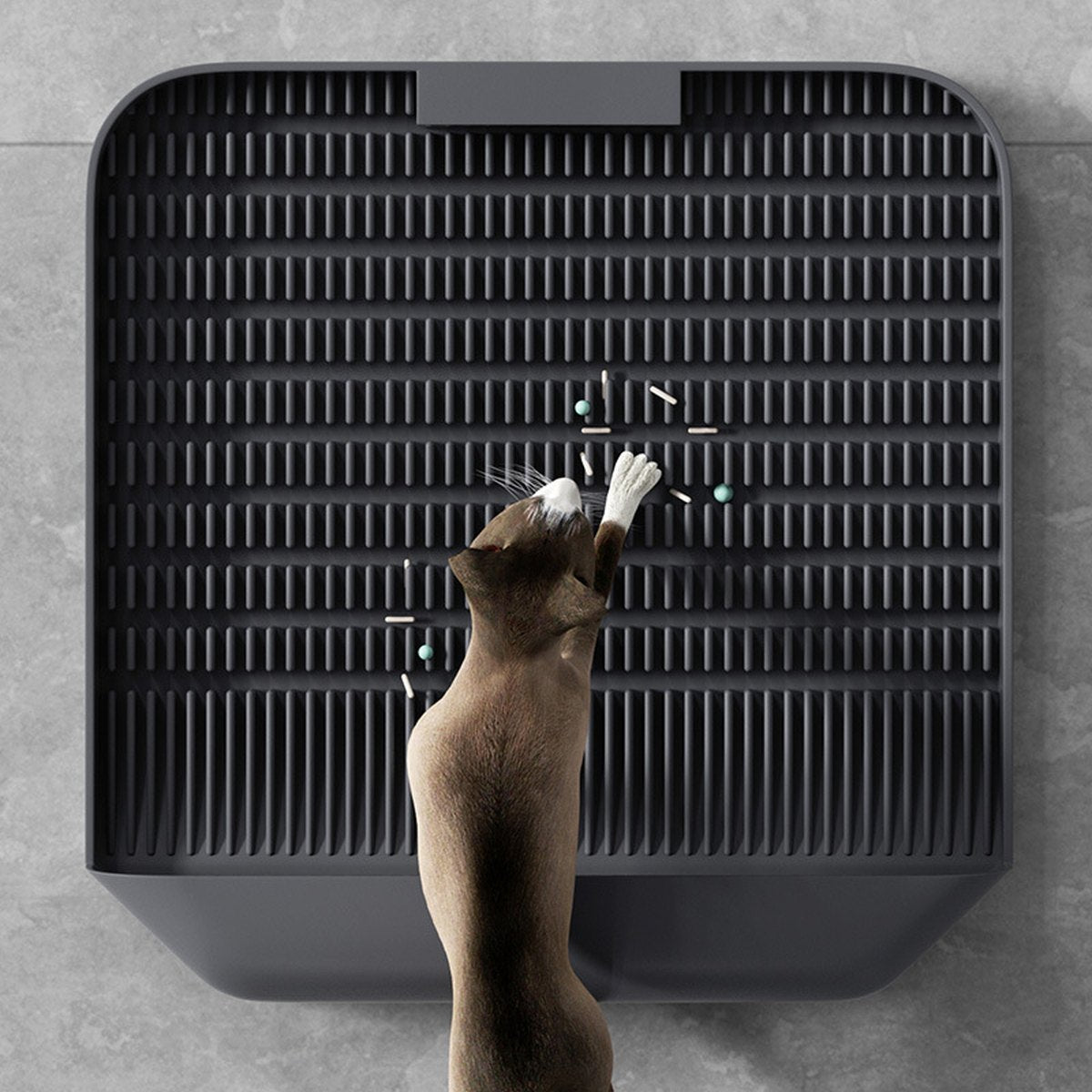 Cat Litter Mat