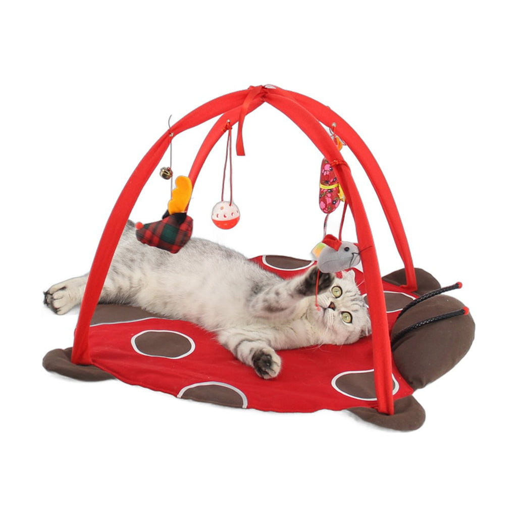 Cat Play Bed