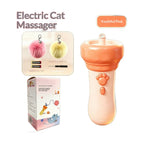 Cat Teaser Toy Electric Fishing Rod