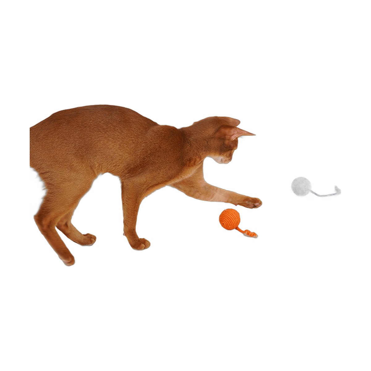 Cat Toy Teaser Stick Bite Resistant Catnip