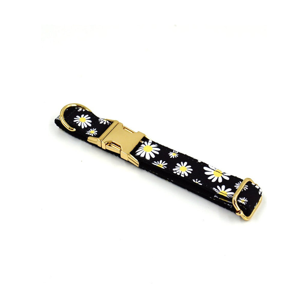 Daisy Dog Collar
