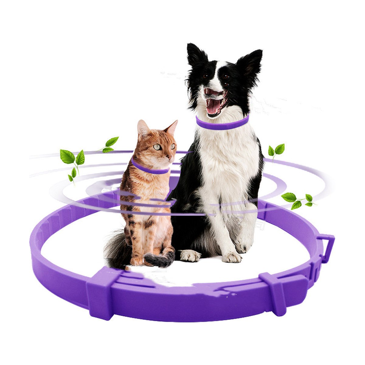 Dog Comfort Collar Cat Teddy Pet Plastic