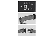 Dog Training Collar