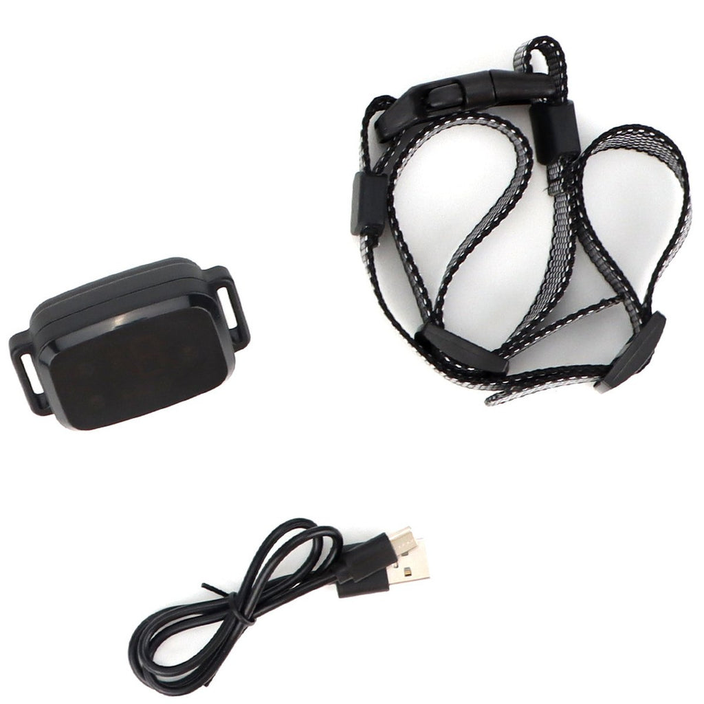 Dog Training Collar