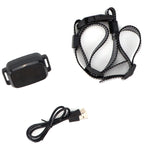 Dog Training Collar