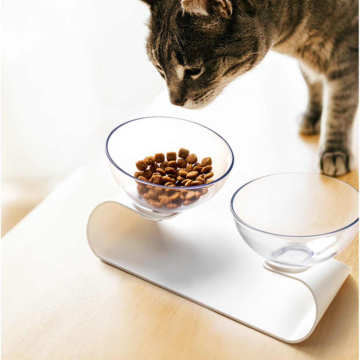 Double Pet Bowl