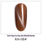 AS Cat Eye Gel Polish – 30 Shades