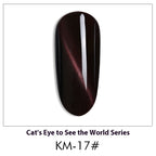 AS Cat Eye Gel Polish – 30 Shades