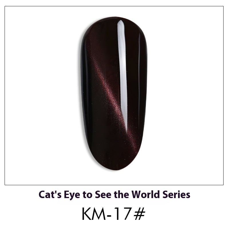 AS Cat Eye Gel Polish – 30 Shades